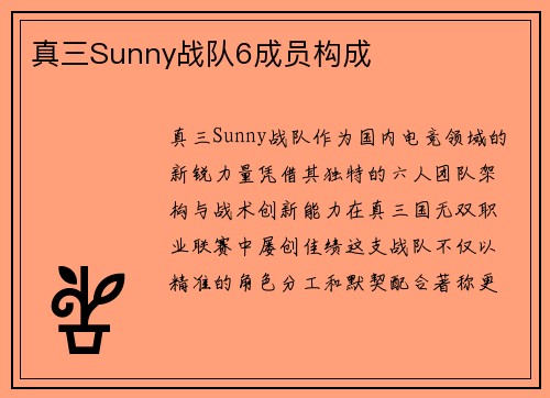 真三Sunny战队6成员构成